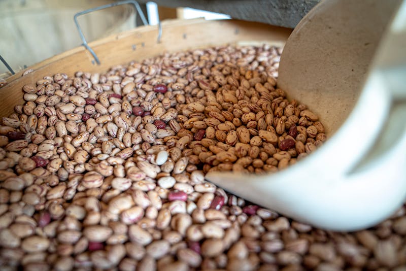 Black beans and pinto beans side dish